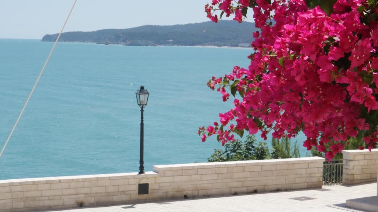 Apartment Piazzetta Petrone + Parking *